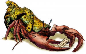 helmedhermitcrab